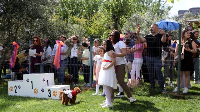 Gaziantep'te köpekler jüri karşısına çıktı