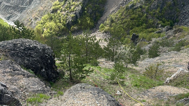 Galeri