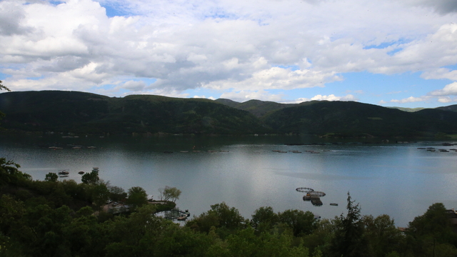 Galeri
