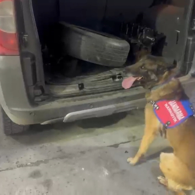 Bagaj ve kaputa gizlenen uyuşturucuyu narkotik köpeği 'Ayar' buldu