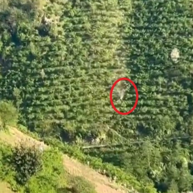 Kamyonetin dik yamaçtan yuvarlandığı kaza kamerada; 2 yaralı