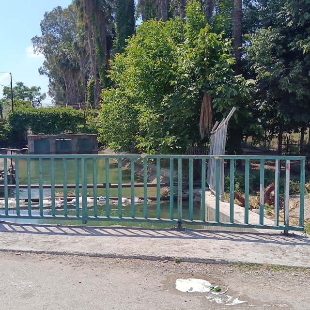 Adana'da satırlı, bıçaklı kavga: 1 ölü, 2 yaralı