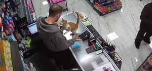 Rize'de kedi ile esnafın dostluğu
Kedi her gün iş yerine gelerek boynuna sa...