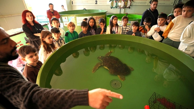 Avrupa'dan MTK Koleji'ne Çevre Eğitimi ödülü