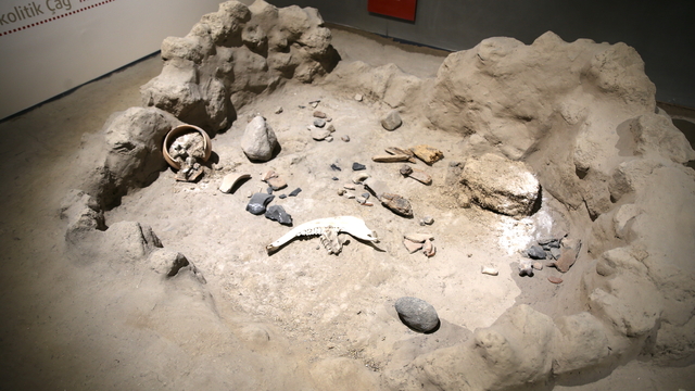 Galeri
