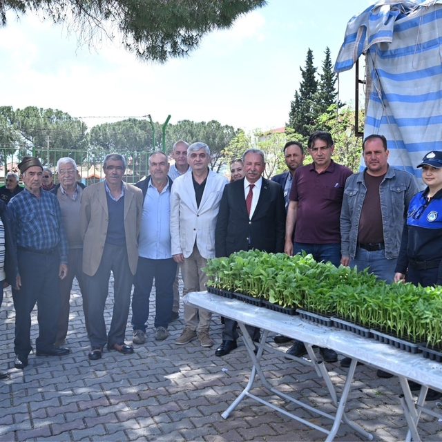 Salihlili üreticilere 34 bin sebze fidesi