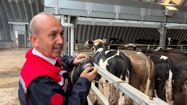 Müdür Düzgün: "256 kesim yeri için onay verildi"