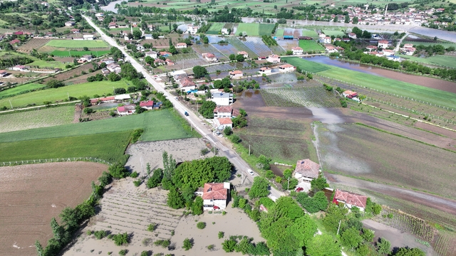 Galeri