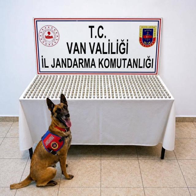 Van'da 8 İranlı'nın midesinde 3 kilo esrar ele geçirildi