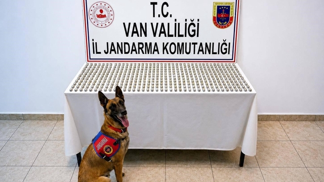 Van'da 8 İranlı'nın midesinde 3 kilo esrar ele geçirildi