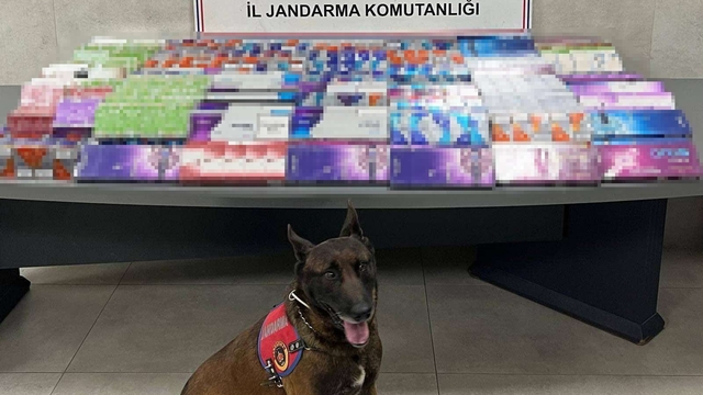 Sakarya'da kaçakçılığa jandarma izin vermiyor