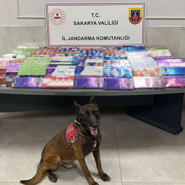 Sakarya'da kaçakçılığa jandarma izin vermiyor