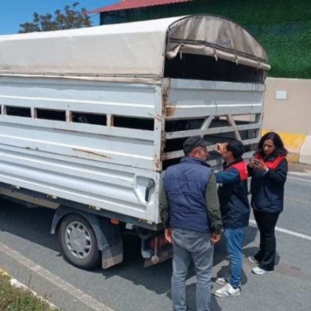 Elazığ'da Kurban Bayramı öncesi hayvan sevklerine sıkı denetim