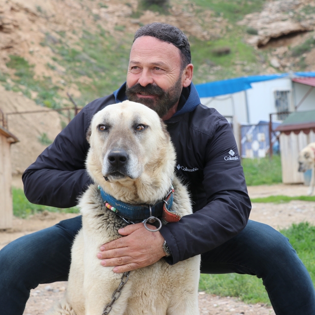 Değişken havalar Anadolu aslanlarını depresyona soktu