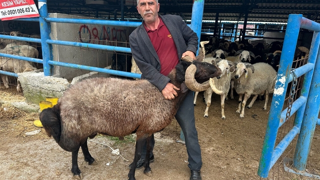 Bursa'daki kurbanlık pazarında hareketlilik
