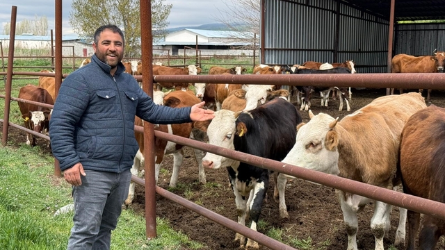 Eskişehir'de büyükbaş kurbanlık bitti, üreticinin yüzü güldü
Büyükbaş üreticisi Bekir Türkmen: "Erkek büyükbaş 380-400 bin liradan alıcı buldu"
"Son günü bekleyenin eli boş kalabilir"