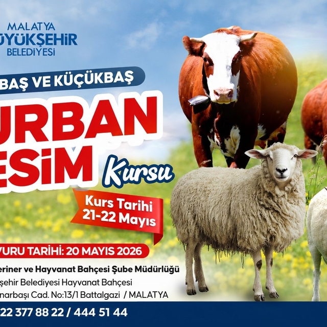 "İslami usullere uygun ve güvenli kurban kesimi" eğitimi verilecek