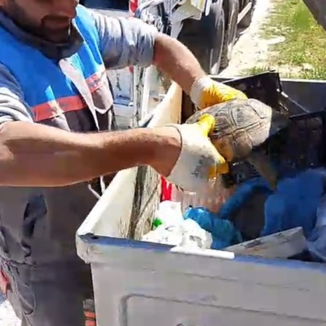 Belediye çalışanlarından örnek davranış: Çöp konteynerinde ölüme terk edile...