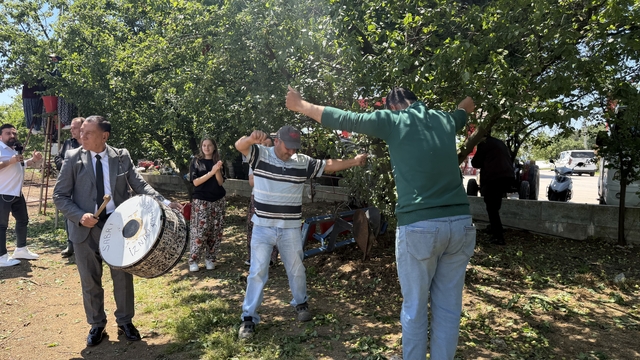Davullu zurnalı erik hasadı
Erikte rekolte geçen seneye göre 4 kat artınca çiftçi tarlada davul zurna eşliğinde göbek atıp hasat yaptı