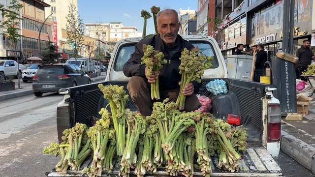 Sınırdan getirilen uçkunlar Yüksekova'da satışa sunuldu