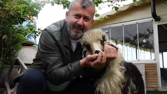 Özenle büyüttüğü kuzusu 'Abbas' yoldaşı oldu
