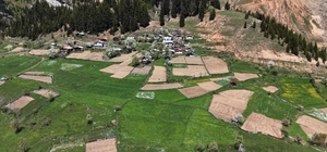 Artvin'de 1400 rakımda imece usulü doğal tarım