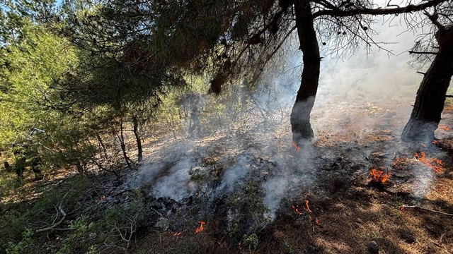 Bilecik'te ormanlık alanda yangın çıktı