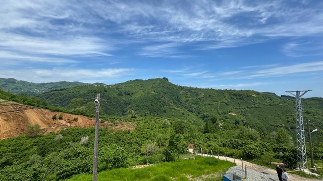 Galeri