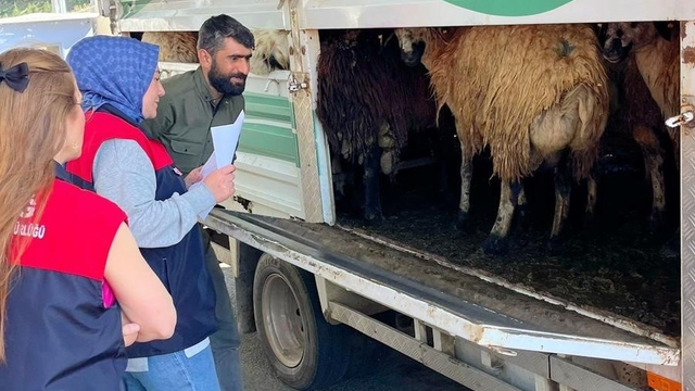 Elazığ'da Kurban Bayramı öncesi denetim