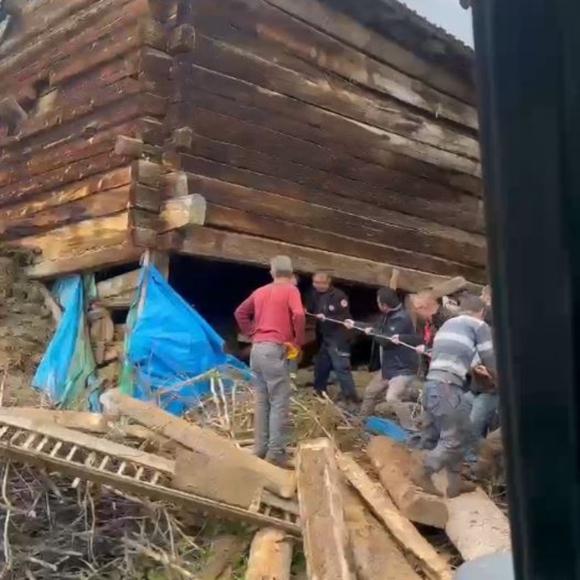 Kastamonu'da ağıl çöktü: 1 ölü