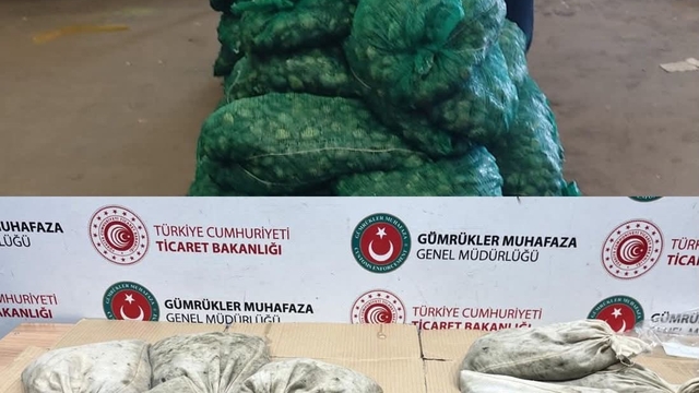 Kapıkule'de 760 kilo kaçak midye ele geçirildi