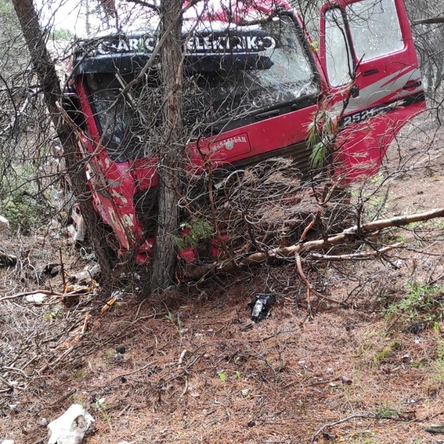 Yoldan çıkan vinç ormanlık alana daldı