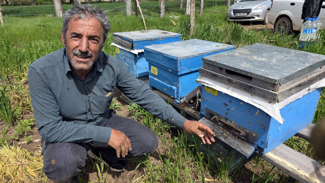 Sivas'ta arıları korumak için akşam ilaçlaması uyarısı