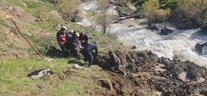 Hakkari'de bataklığa saplanan inek kurtarıldı