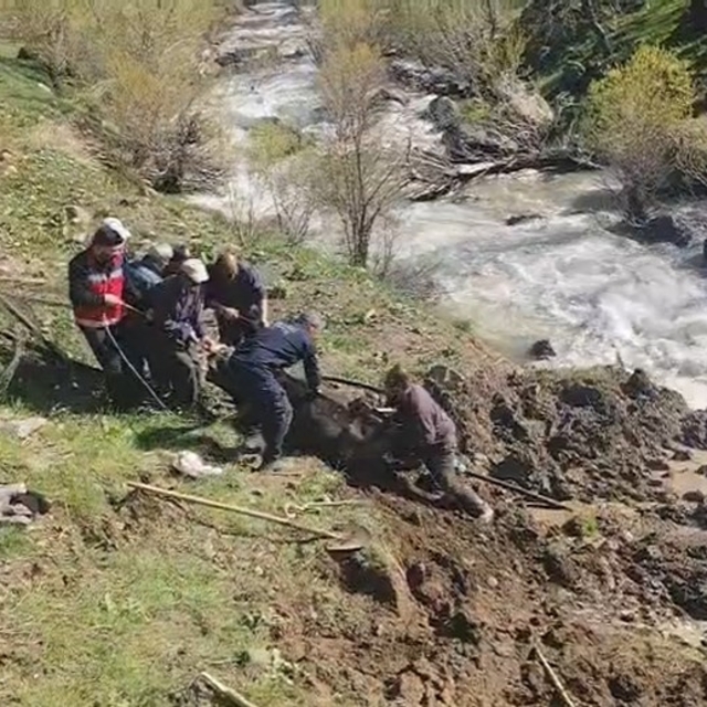 Hakkari'de bataklığa saplanan inek kurtarıldı