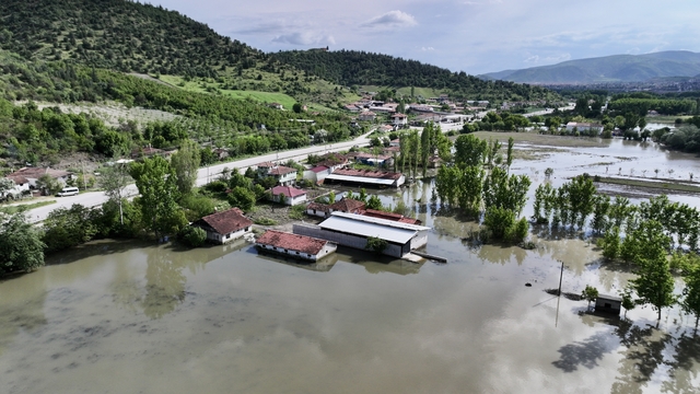 Galeri