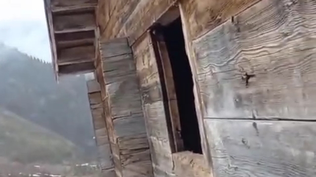 Anahtarın yerini tarif etti, evine giren ayıya "Zarar verme" diye seslendi