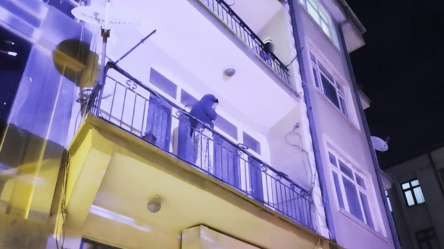 Ayrıldığı erkek arkadaşı evi bastı, kadın alt katın balkonuna atladı
Balkonlarda mahsur kalan yaralı anne ile kızı itfaiye merdiveniyle kurtarıldı