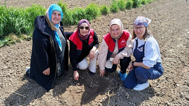 Kırklareli'nden kısa kısa