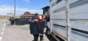 Bayburt'ta bayram öncesi hayvan sevkiyatlarına sıkı denetim