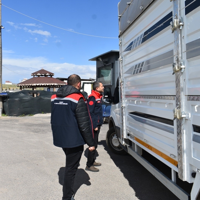 Bayburt'ta bayram öncesi hayvan sevkiyatlarına sıkı denetim