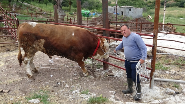 1 tonluk 'Paşaköy Efesi' 420 bin TL'den alıcısını bekliyor