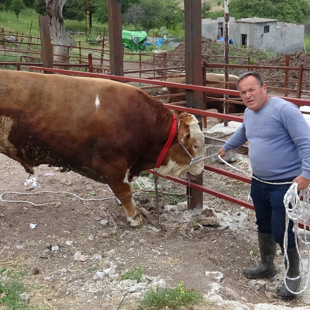 1 tonluk 'Paşaköy Efesi' 420 bin TL'den alıcısını bekliyor