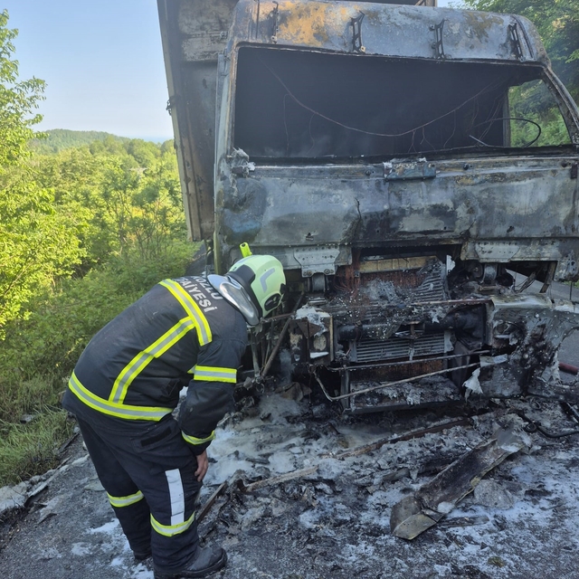 Zonguldak'ta seyir halindeki kamyon alev alev yandı