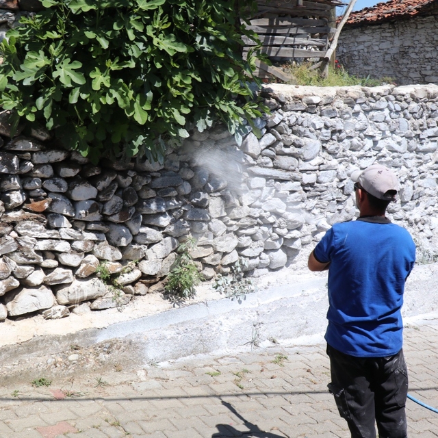 Bozdoğan'da haşereye karşı kireçleme çalışmaları sürüyor