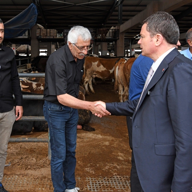 Osmangazi'de kurban satış ve kesim alanları hizmete hazır