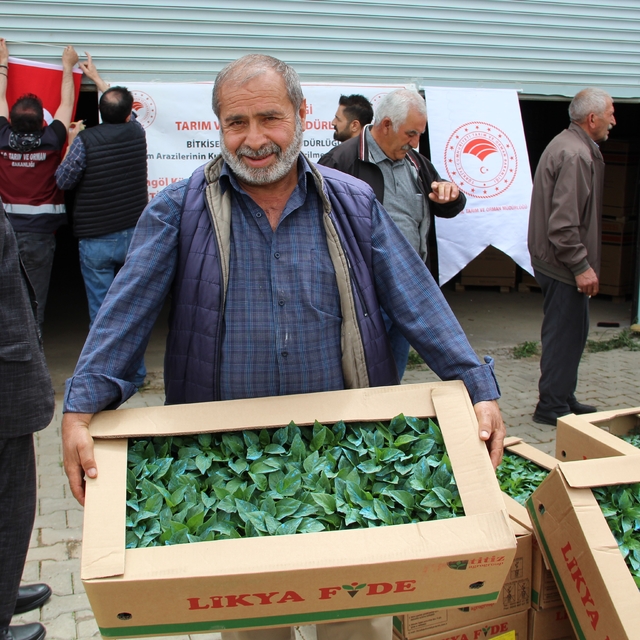 Bingöl'de 330 bin sebze fidesi üreticilere dağıtıldı