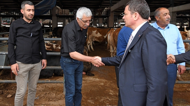 Osmangazi'de kurban satış ve kesim alanları hizmete hazır