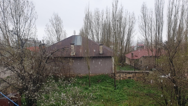 Galeri