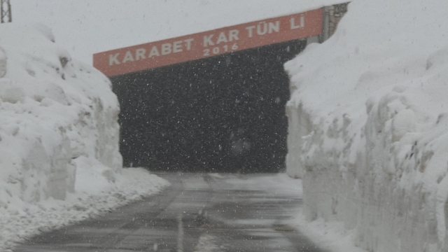 Van'ın yüksek kesimlerde kar yağışı etkili oldu